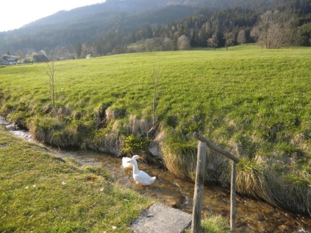 Bunzbauernhof Βίλα Bad Mitterndorf Εξωτερικό φωτογραφία